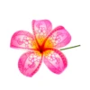 PRF-256 H.pink