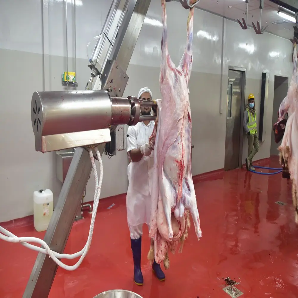 Sheep halal meat slaughterhouse with slaughtering equipment