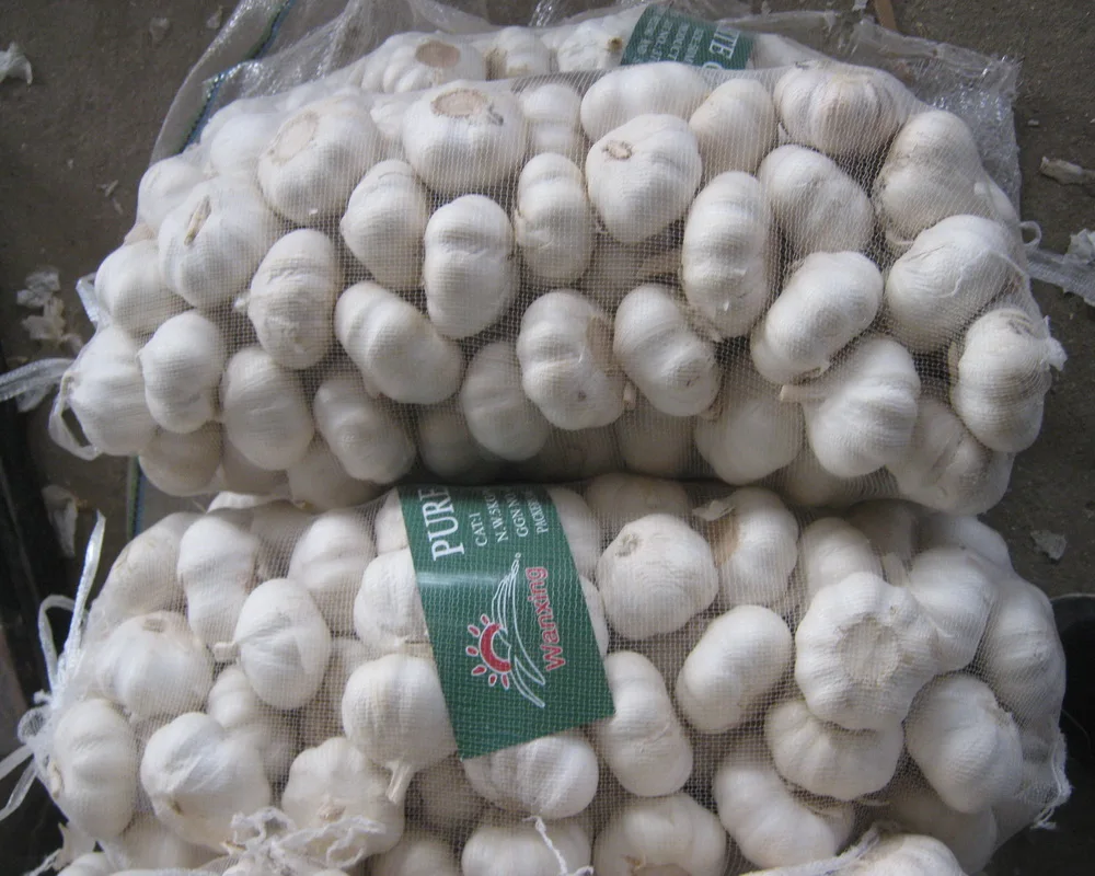 Garlic Garlic New Crop With High Quality Chinese Pure White Garlic Wholesale