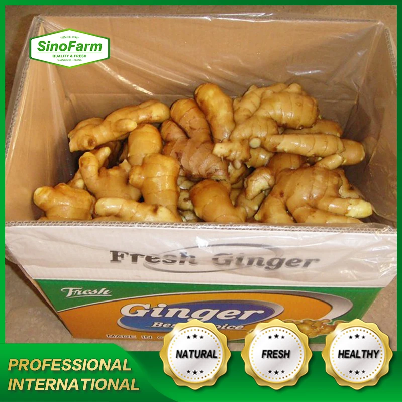 High Quality Dried Fresh Ginger Market Price Per Ton Wholesale Ginger Buyers For Export In China