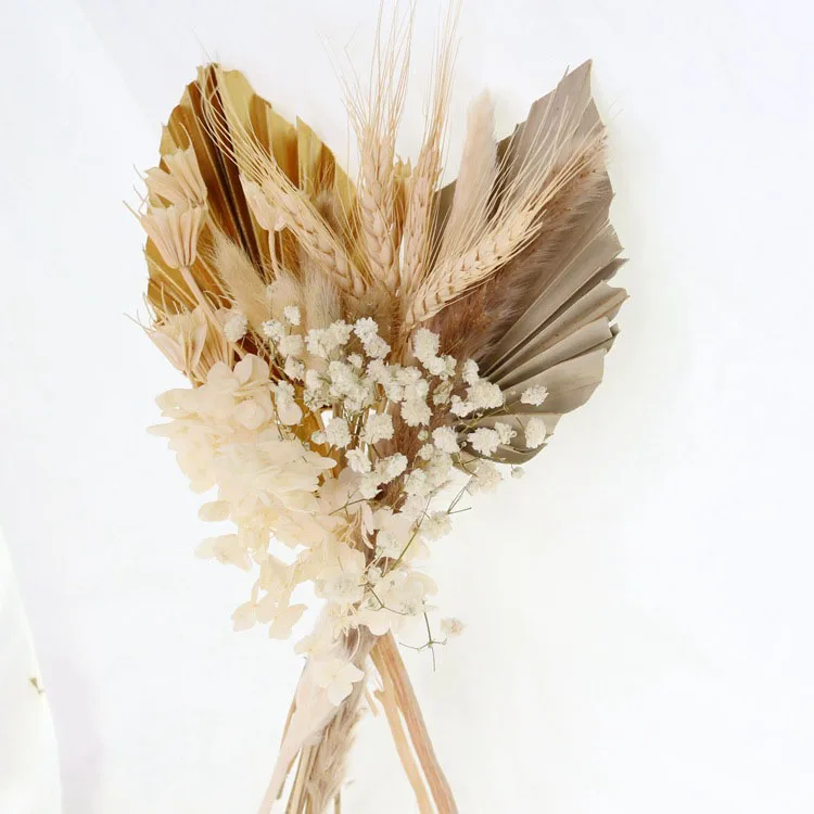 Pampas Grass Real Natural Pampas Grass Dried Flower Decor Pompous ...