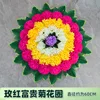Argent de chrysanthème rose-rouge