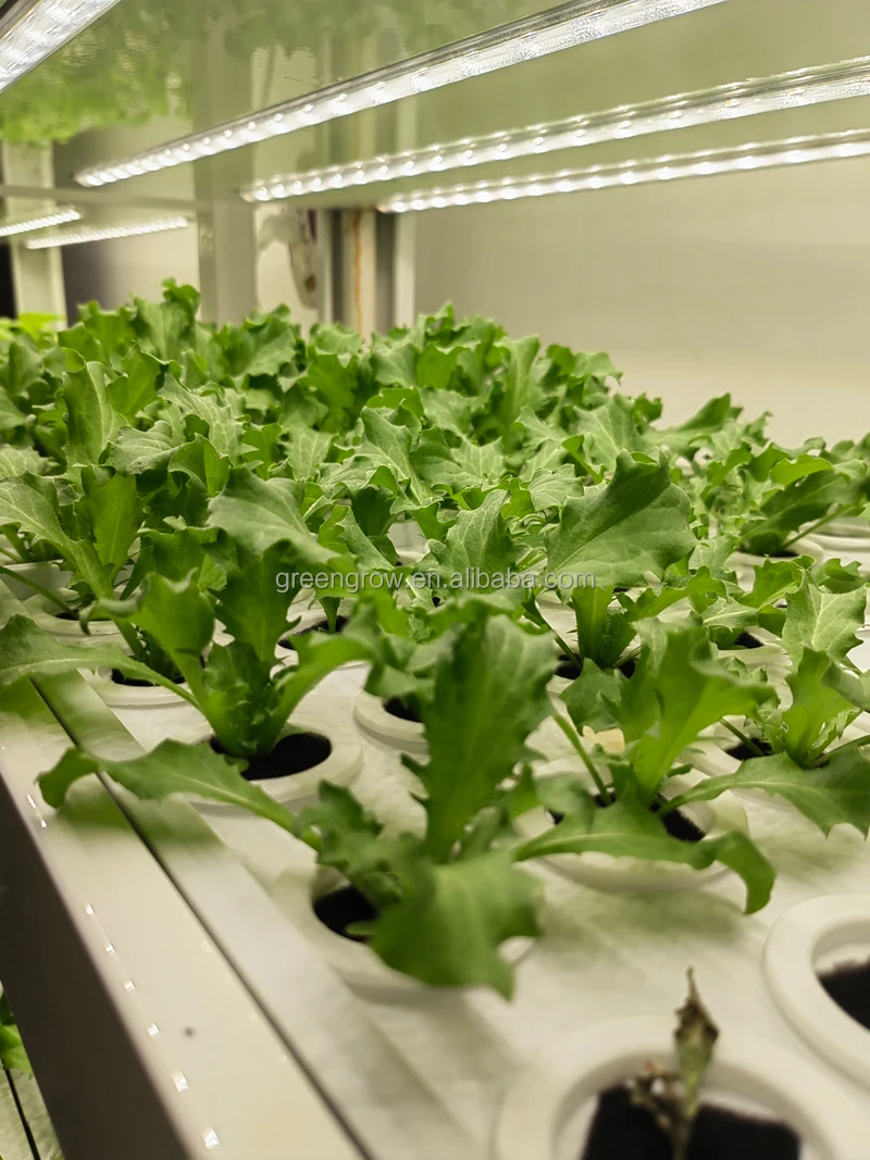 Indoor Home Smart Led Light Plant Garden Greenhouse Nft Hydroponic Grow Tower Kit Aeroponic