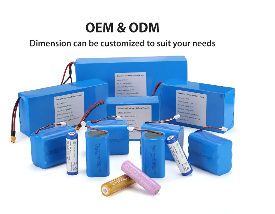 Lithium Ion Lifepo4 Battery Ebike Battery Pack 24v 36v 48v 72v 20ah 30ah 40ah 60ah 100ah Battery