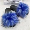 Blue raccoon
