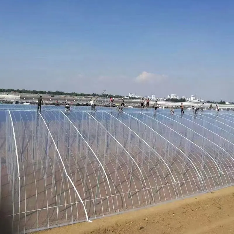 UV Resistant Mini Greenhouse Cover Sheets 200-250 Micron HDPE Greenhouse Pe Film Greenhouse Blow Molding Custom Cutting
