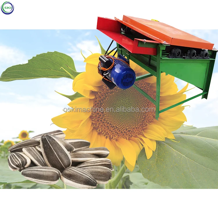 Pelador De Semillas De Girasol,Máquina Peladora De Semillas De Girasol -  Buy Semillas De Girasol Desgranadora Para Venta,Semilla De Girasol De Zorro, Semillas De Girasol Máquina Peladora Product on 