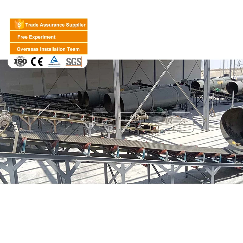 GATE Dissolve Sodium Sulfate and Sodium Chloride Together to Produce Muriate of Potash Fertilizer Mop Fertilizer Machinery