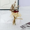 Beige et marron 4
