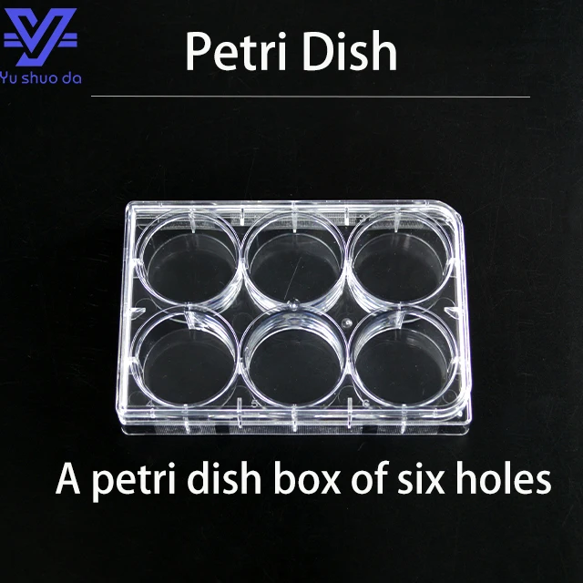 medical petri dish