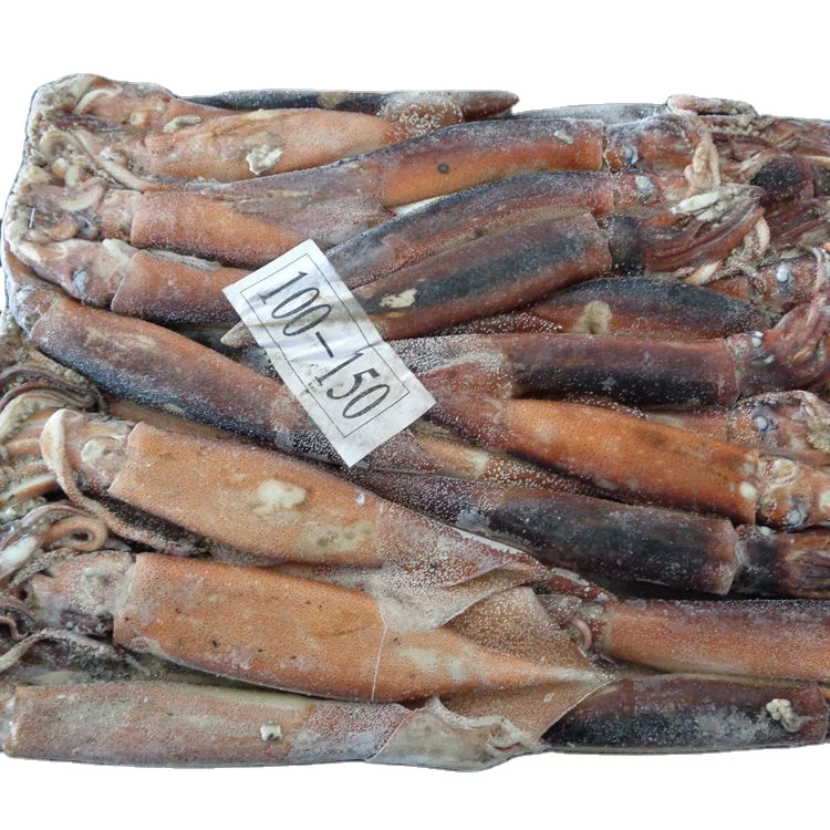 300-400g california loligo tube frozen squid for sale