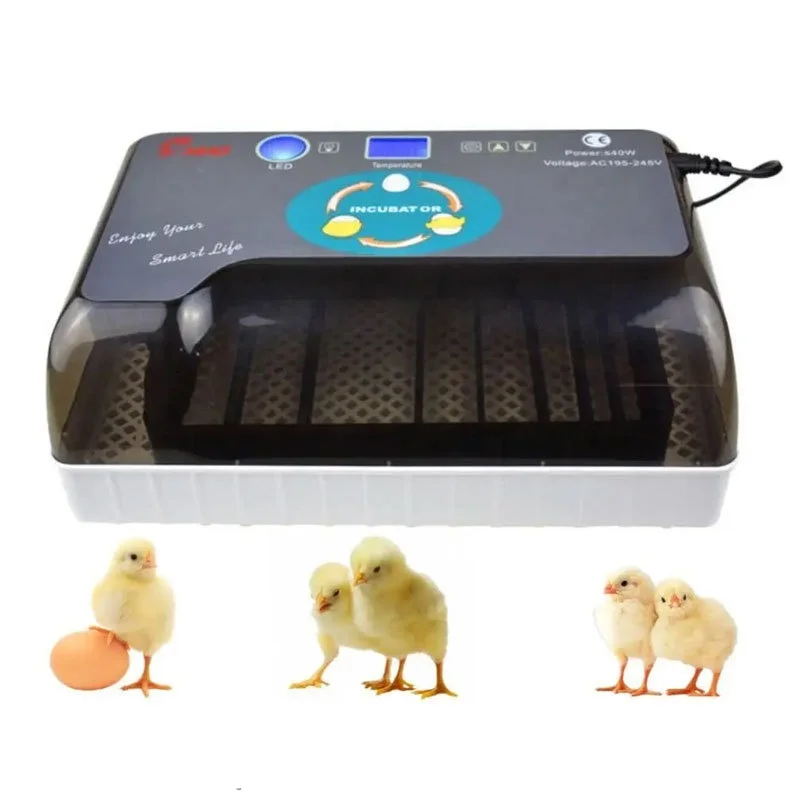 Snail Farming Automatic Chicken Duck Bird Egg Parrot Incubators ...