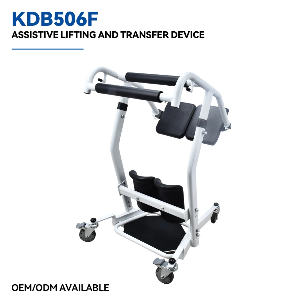 Stand Assist Transfer Device