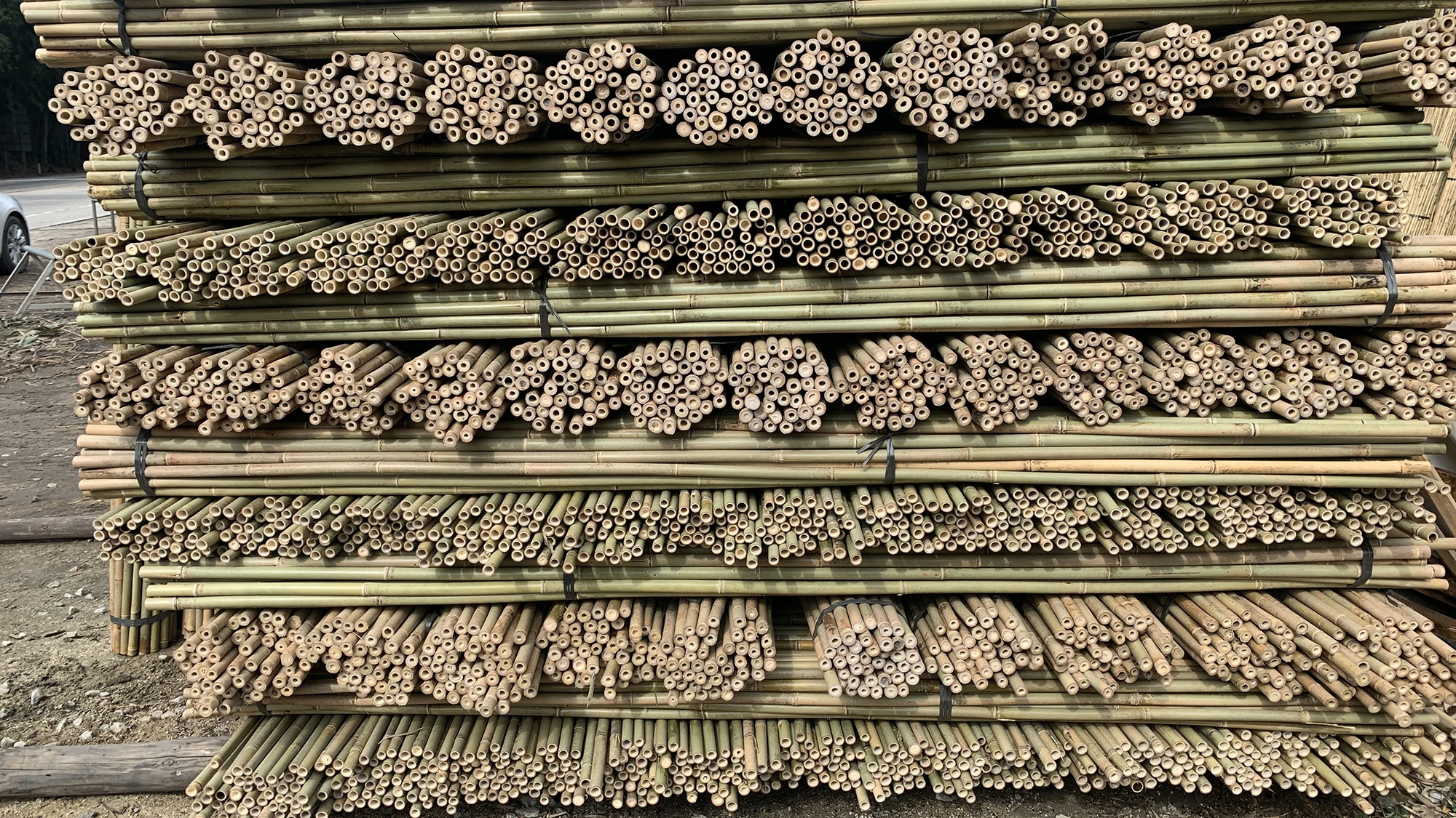 Tonkin Bamboo Stakes Bamboo Poles Wholesale Bamboo Raw Materials Buy