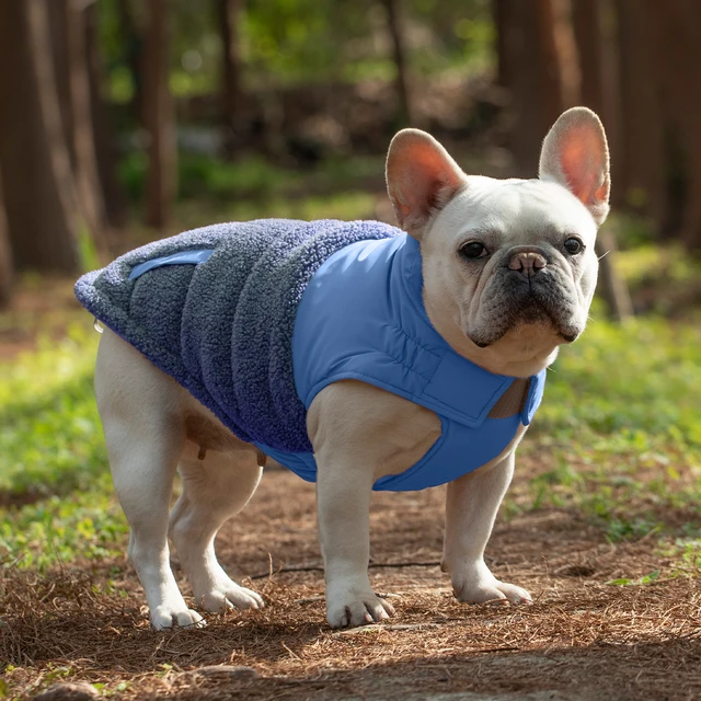 Autumn-Winter Luxury Teddy Dog Coat High Quality Plush Pet Jacket with Cute Print Warm Clothing for Spring Season