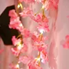 Pink cherry blossoms
