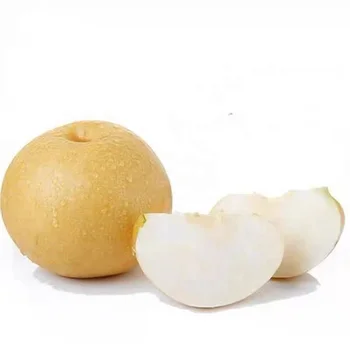 Asian Chinese super singo pear nice delicious pear for sale