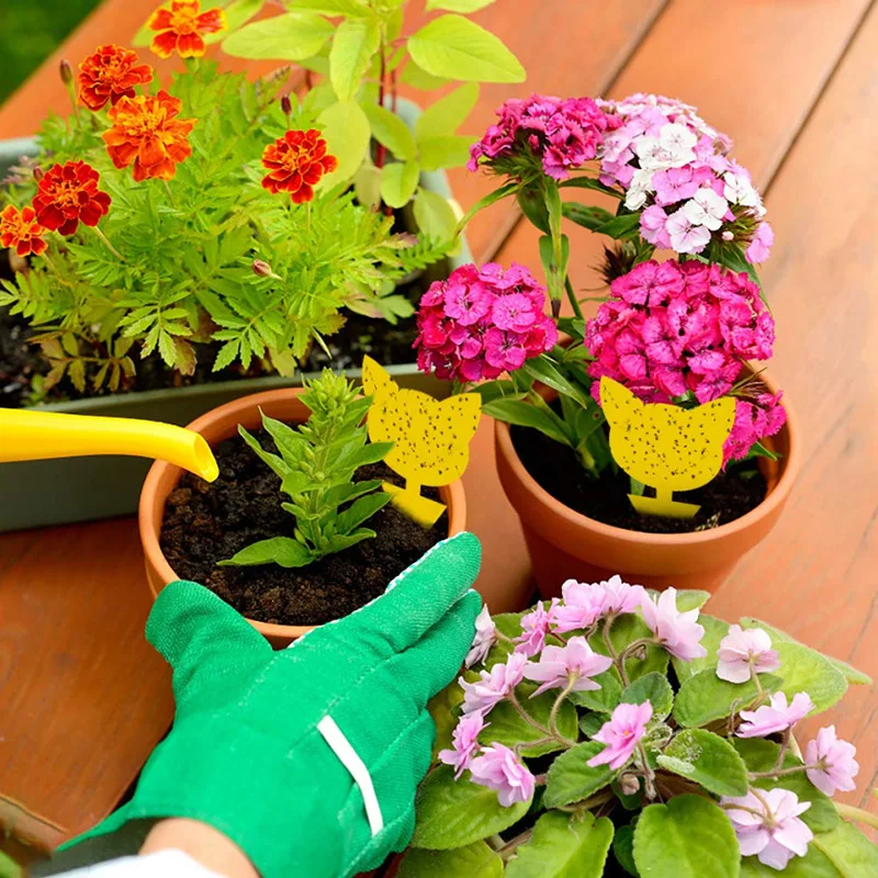 Double Side Sticky Traps Non Toxic Yellow Plant Sticky Traps Fungus Gnat Traps for House Indoor Plants