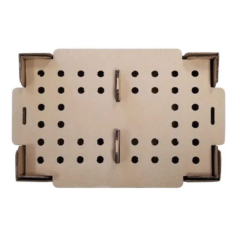 Day Old Chicks Transport Box Factory Bird Box Shipping Divided Baby Chick Transport Carton Carrying Boxes