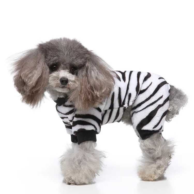 zebra dog costume