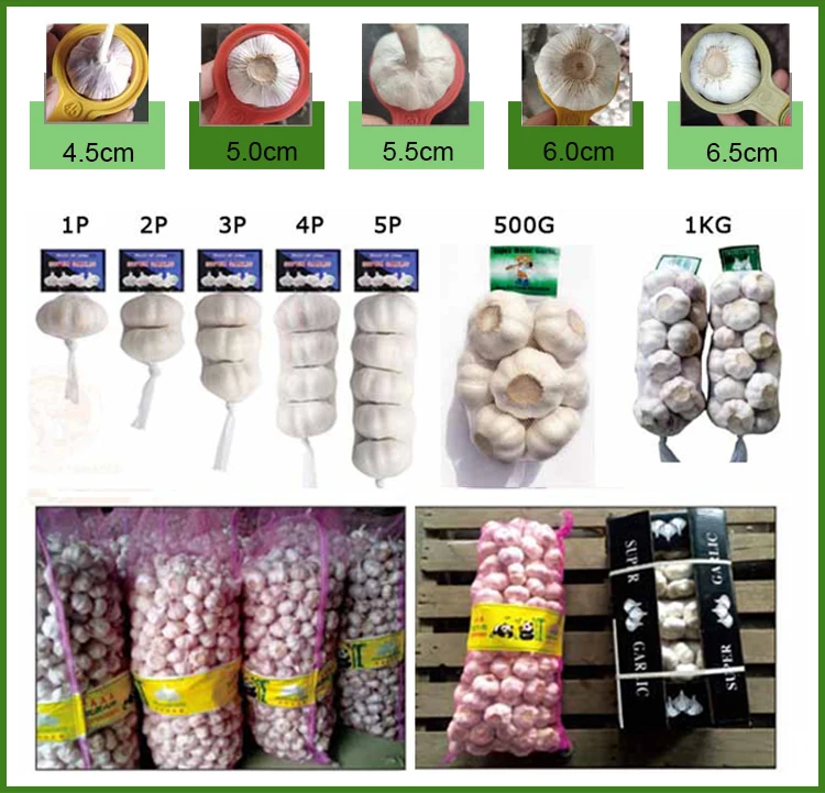 garlic paking,garlic package