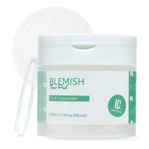 Korean Cotton Compressed Toner Pads Centella Asiatica Functional Facial Mask All Skin Types Blemish Control Soothing Face