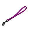 Lilac purple