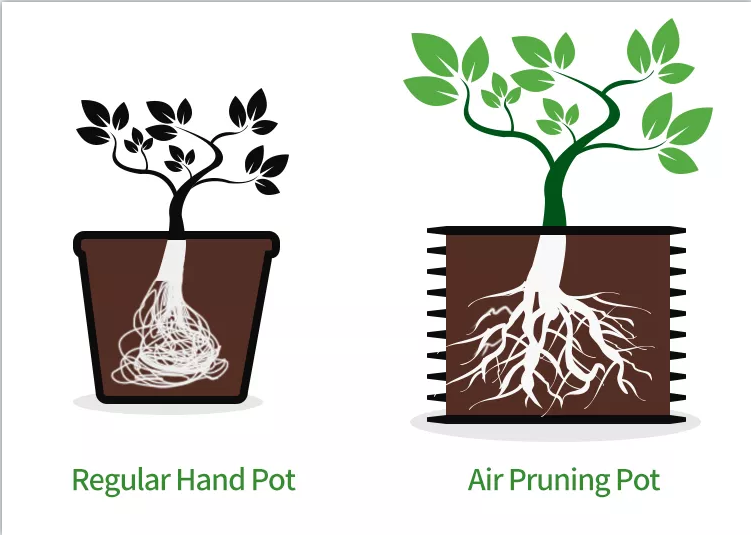 Plant Root Control Propagation Trainer Fast Root Grow Container Air