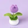 Pourpre