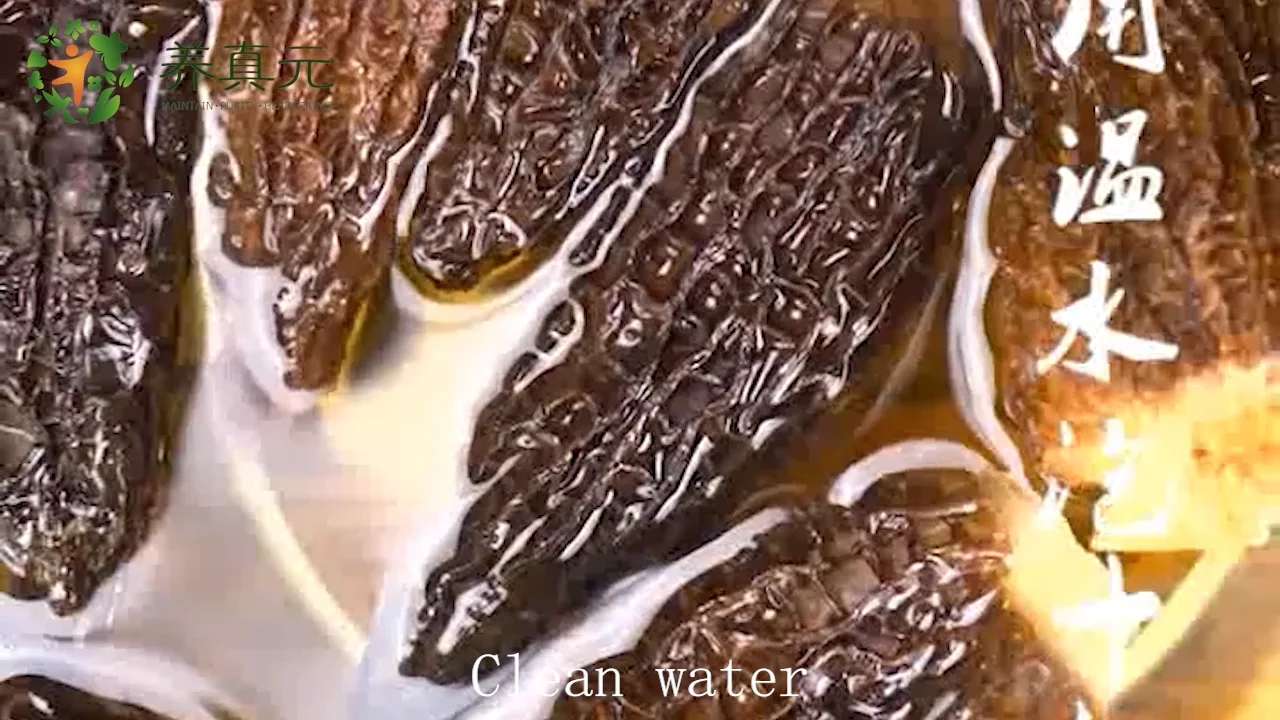 Price 2021 Black Fresh Morel Mushrooms Dried Wild Parlantes Morels Mushrooms For Sale Buy