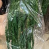 Verde oscuro