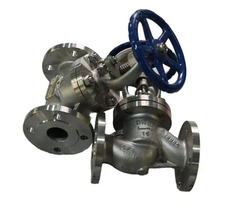 Customizable DN50 Stainless Steel Shutoff Globe Valve with Handle Flange Structure