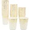 Paper Party Cups