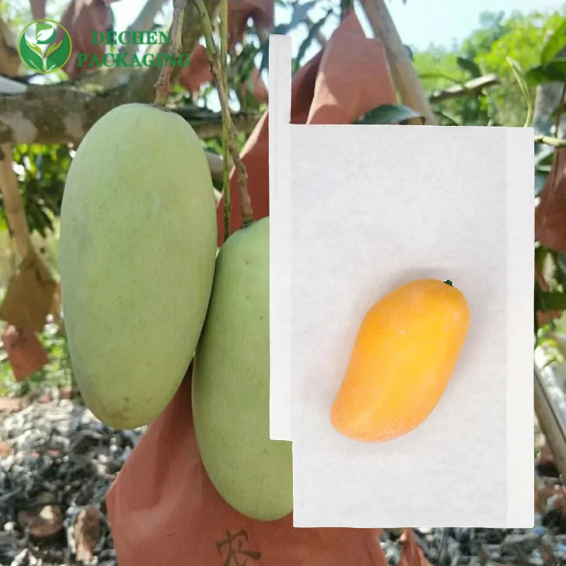 Le jardin met en sac 100% le fruit de pulpe de bois de Vierge élèvent le sac de papier pour la mangue