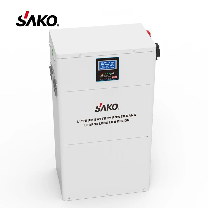 Sako Lithium Ion Batteries With Bms 12v 24v 100ah 10kwh Deep Cycle Home ...