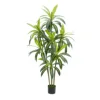 180cm Brazilwood