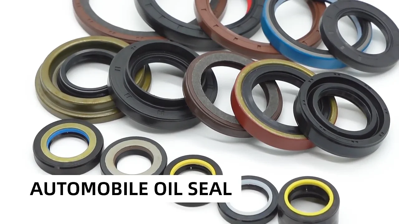 PTFE Lip Oil Seal with Stainless Steel Housing Single Lip and Dual Lip  Rotary Shaft Oil Seal