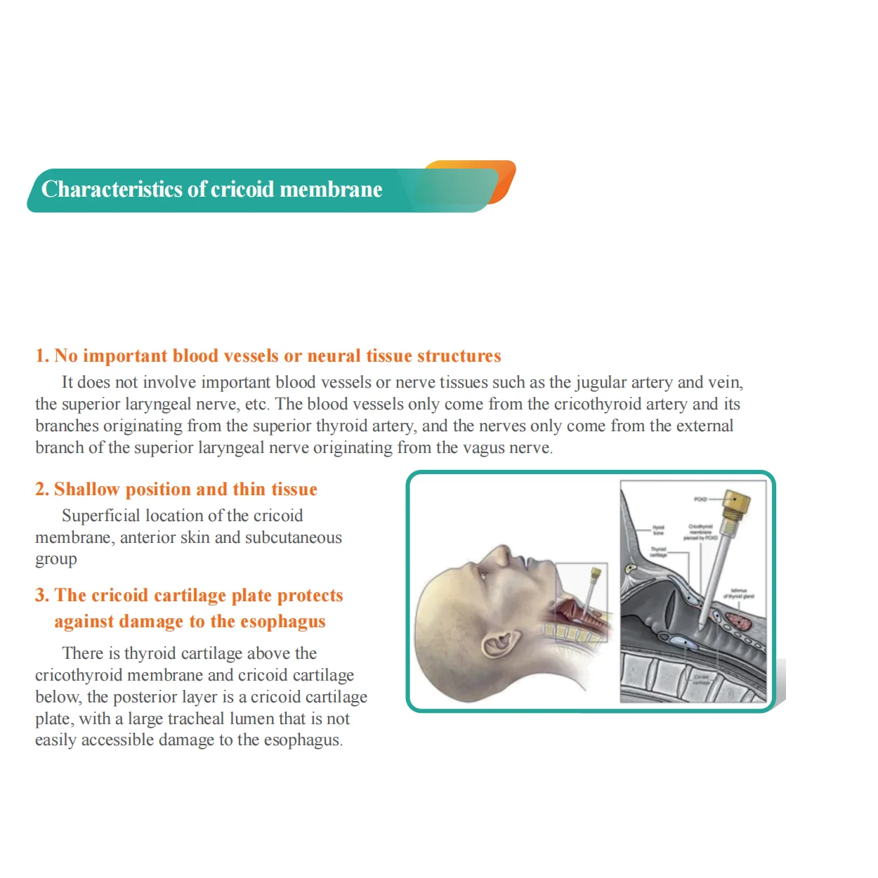 Disposable Cricothyroid membrane puncture kit First Aid details