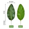 Travelers palm-dark-extra small leaves