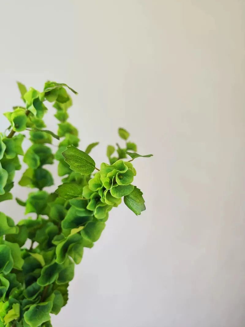 Artificial Real Touch Greenery Bells Of Ireland Artificial Flowers