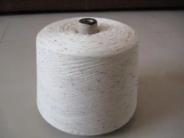 Color Spinning Slub, Mixed Color Nep Yarn, Pantone Yarn Color for Socks Stockings