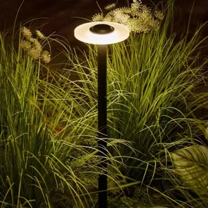 DC Power LED Garden Light Small Waterproof IP65 Outdoor Landscape Lawn Pathway Decorative Lamp Automatic Durable Eco-Friendly