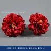 Pequeñas flores de dalia roja