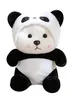Panda nella xiong