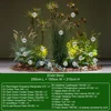 [น้ำค้างเย็น] ชุดพร้อม Dracaena Marginata และ Foxtail