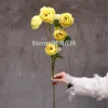 Rosa de té