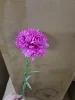 สีชมพูร้อน