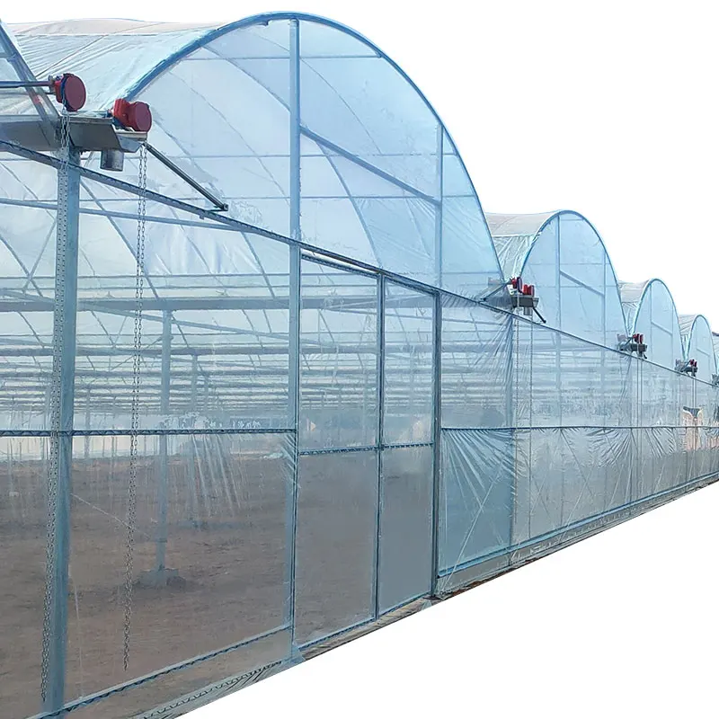 Agricultural UV Resistant 200 Micron Tomato Poly Tunnel Polycarbonate Greenhouse Plastic Film for Hydroponic Grow