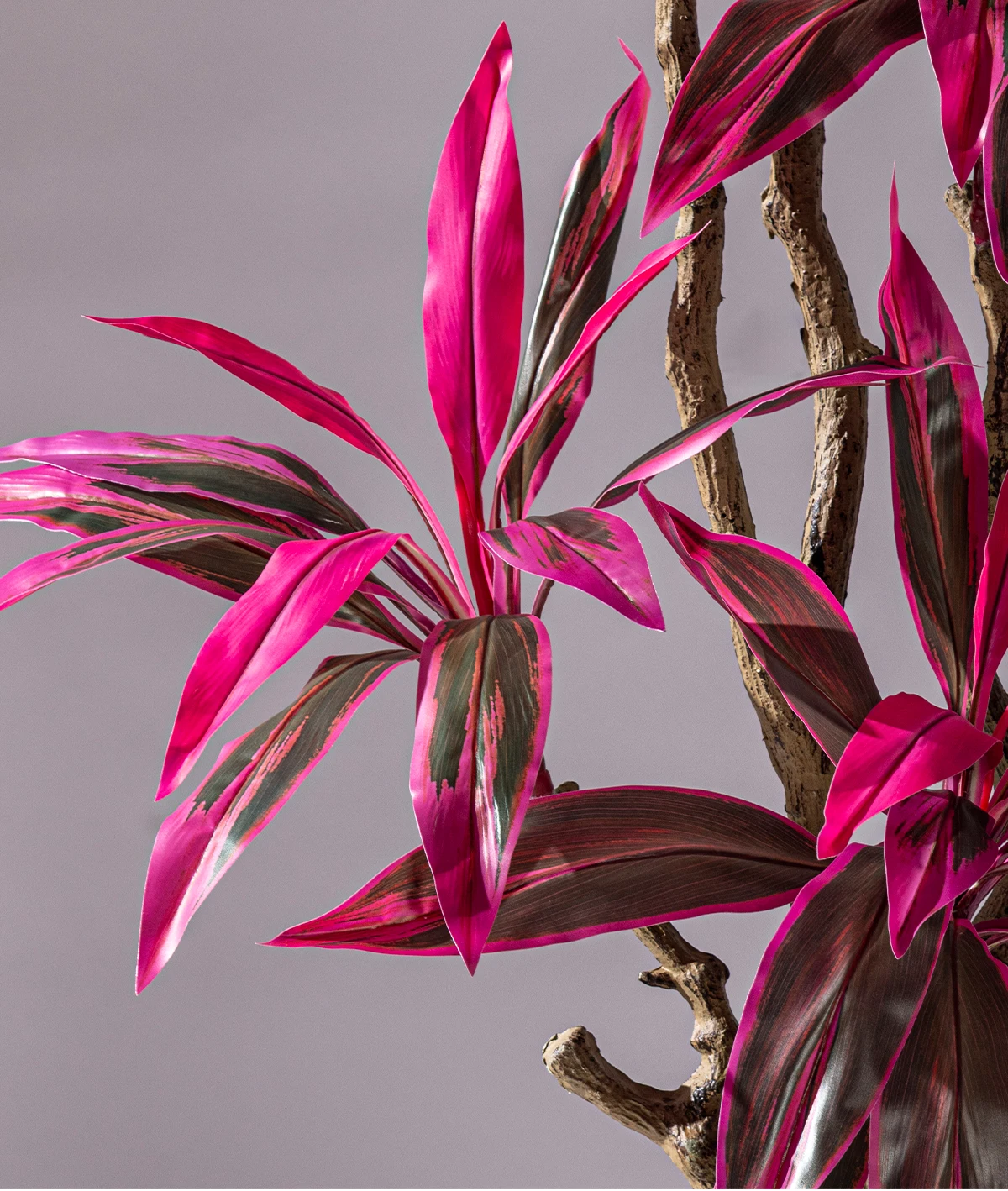 Natural Style Large Artificial Brazilian Ironwood Green Tree Plastic Decorative Greenery Olive Bonsai Pot Decorative Outdoor factory