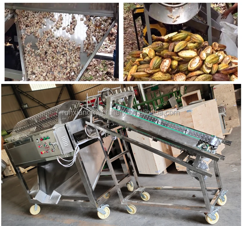 Green Cocoa Pod Separator Machine Cocoa Bean Extractor Machine - Buy ...